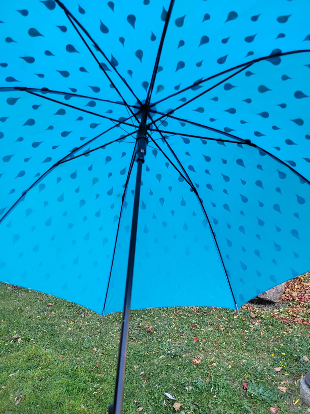 Sky Blue UMBRELLA 🏒 image indicator(2)