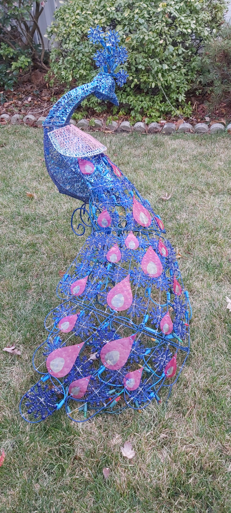 Unique Peacock # Freecycle thumbnail