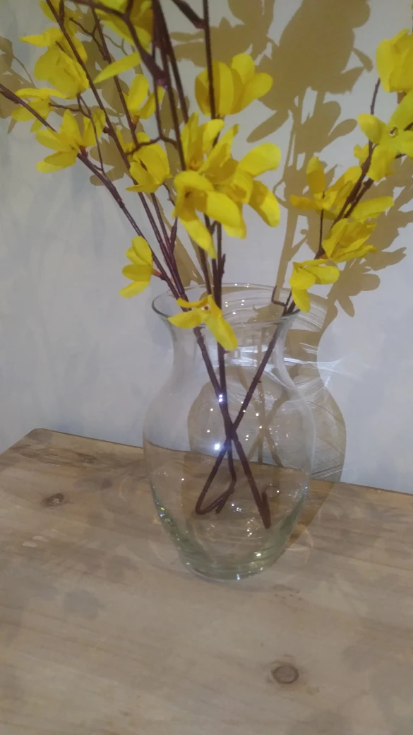 🏒 2 Sleek Glass Vases thumbnail