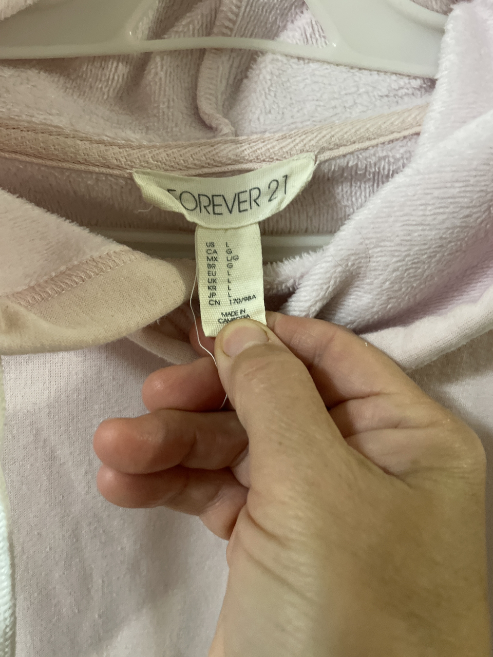 Hoodie in good condition size L from Forever 21 image indicator(2)