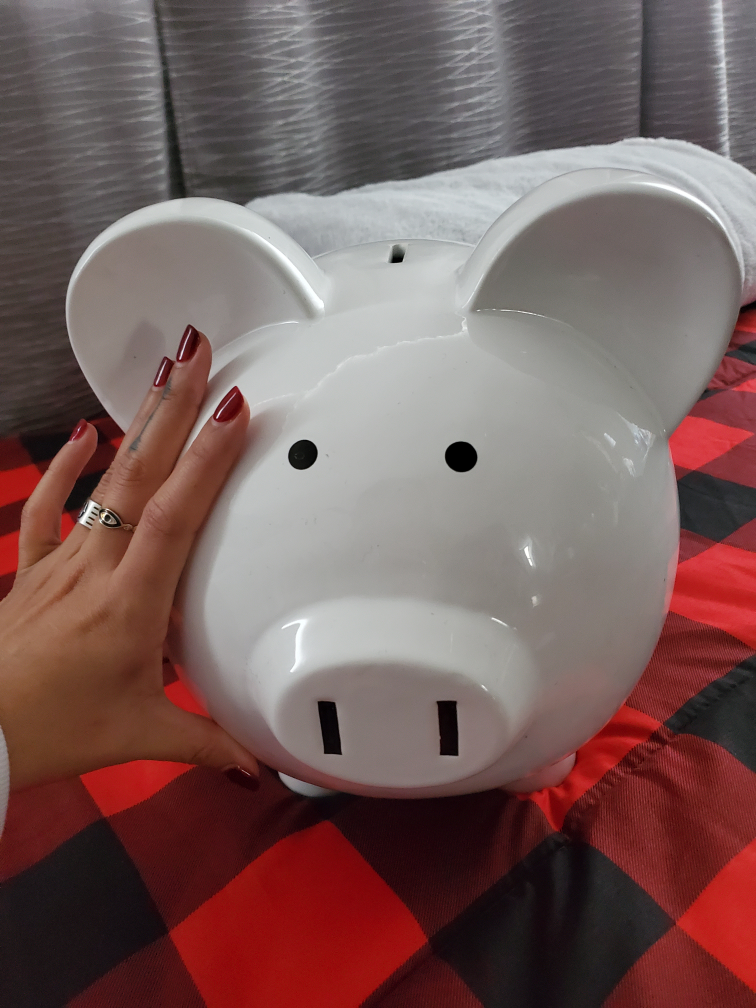 Pig piggy bank