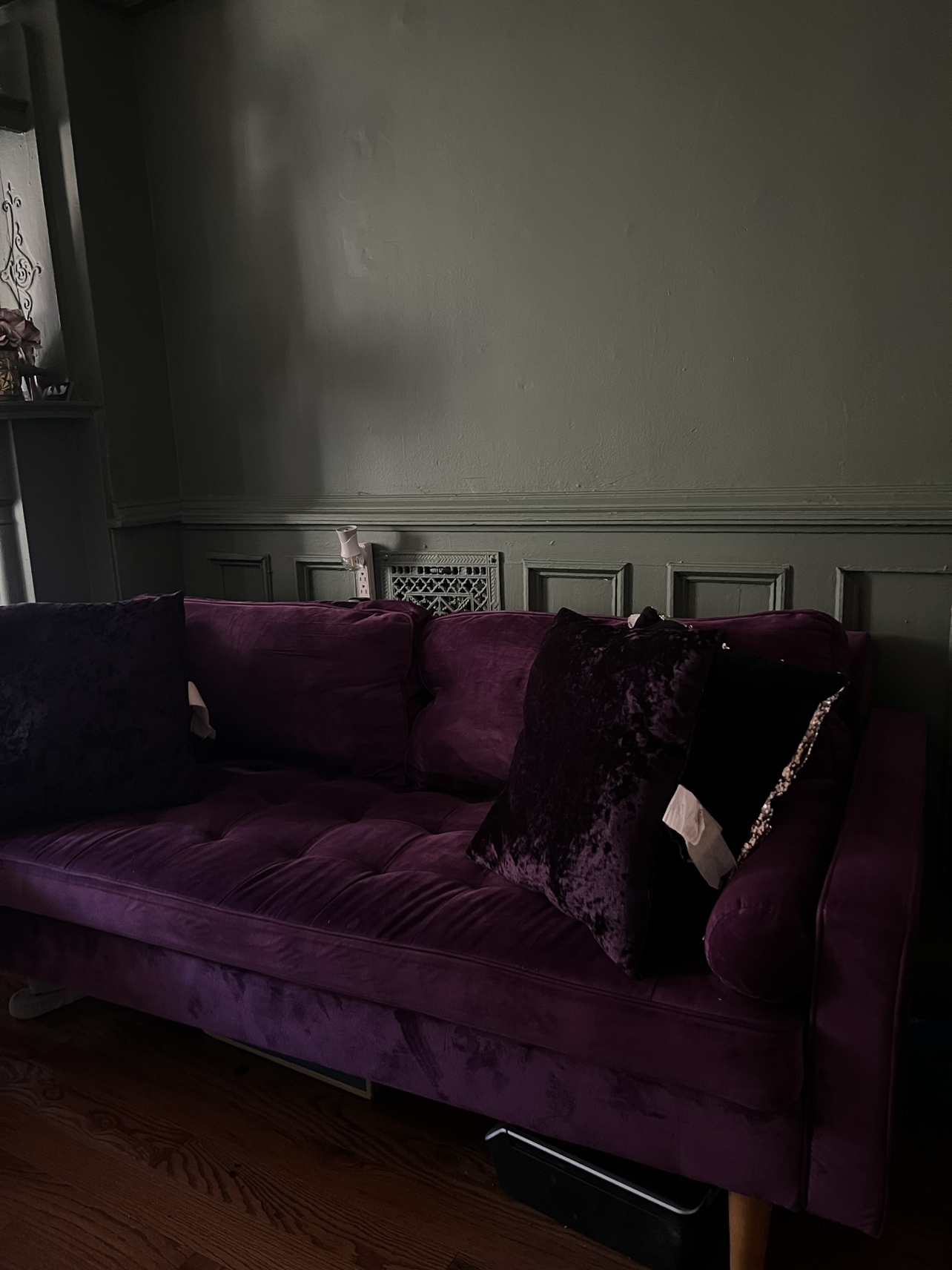 Beautiful Velvet Couch