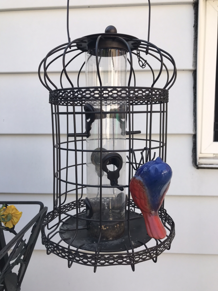 Caged metal bird feeder