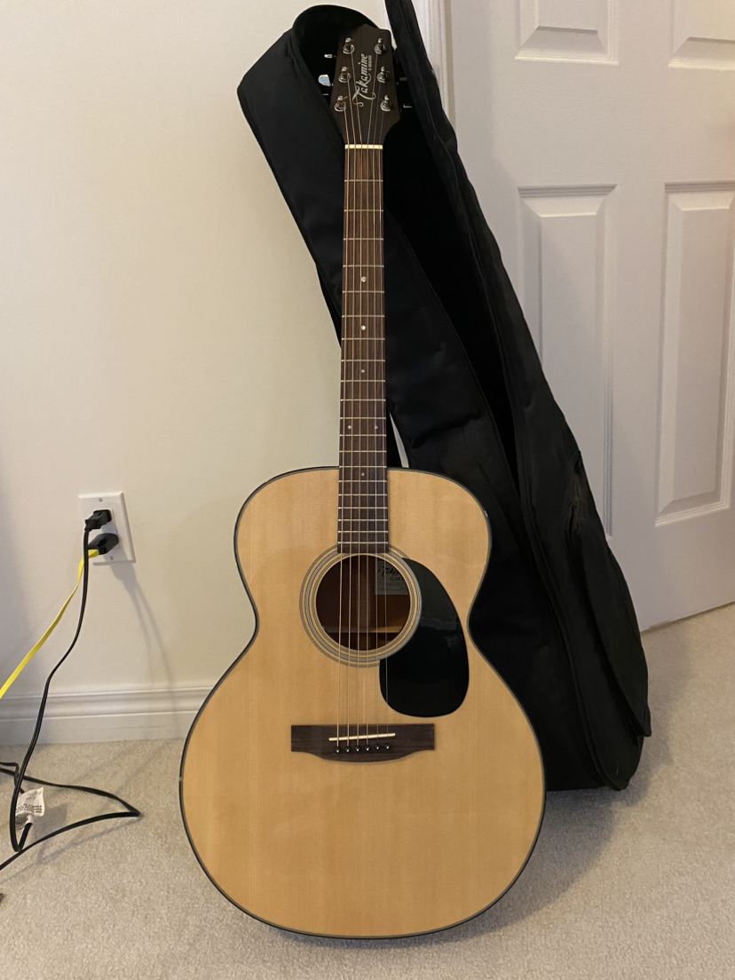 Takamine G220