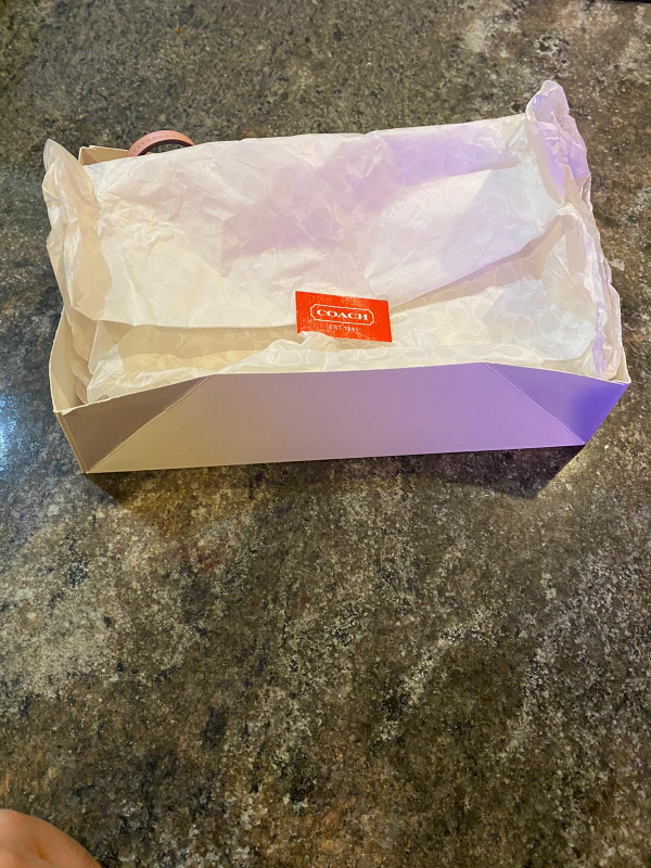 Light Pink Coach wristlet image indicator(4)