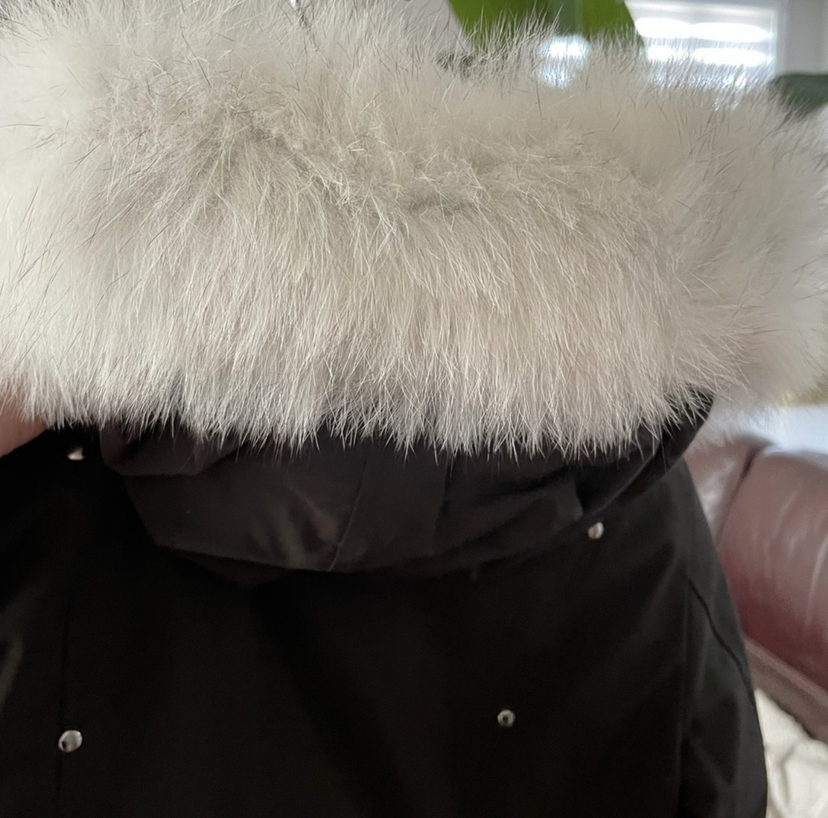 Moose knuckles parka - photo 2