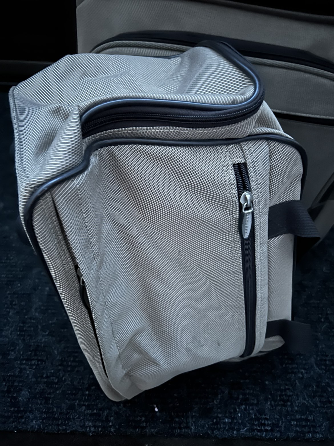 Medium size luggage image indicator(8)