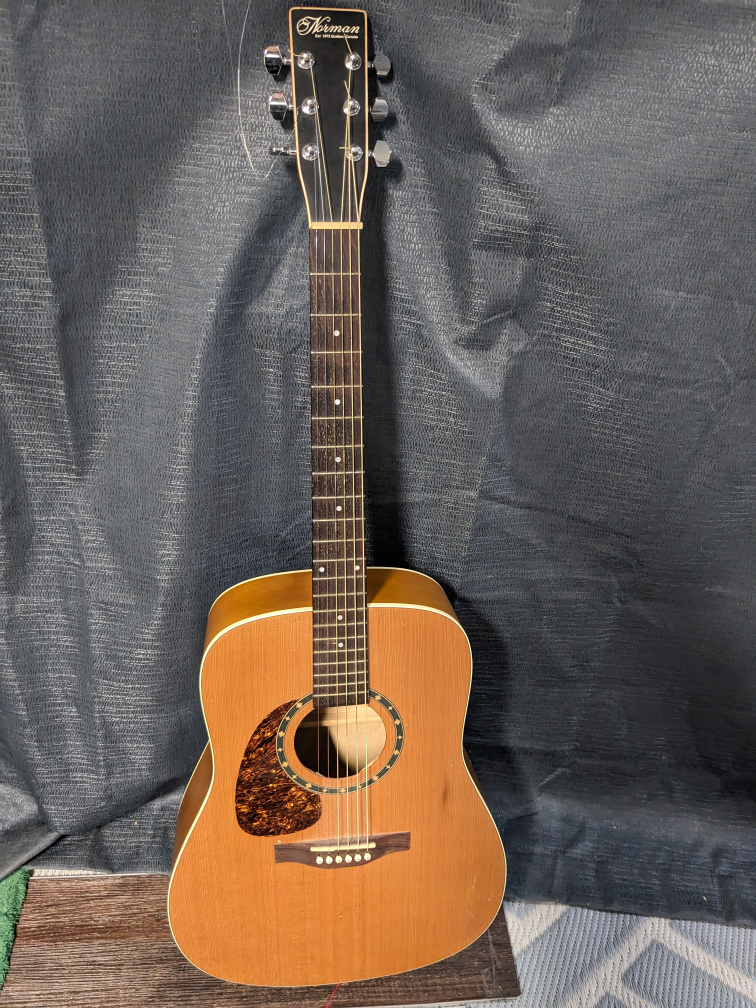 Norman Protege B18 Cedar Left