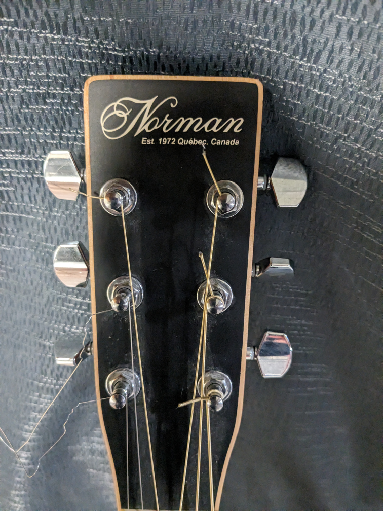 Norman Protege B18 Cedar Left - photo 3