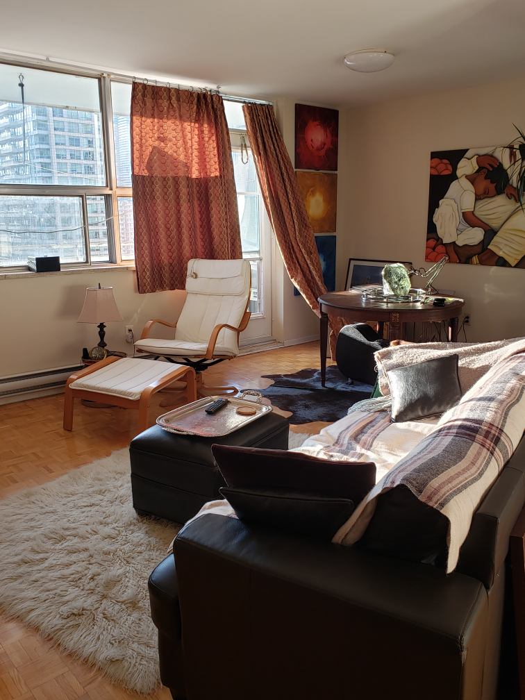 Bentwood chair &Ottoman - photo 2