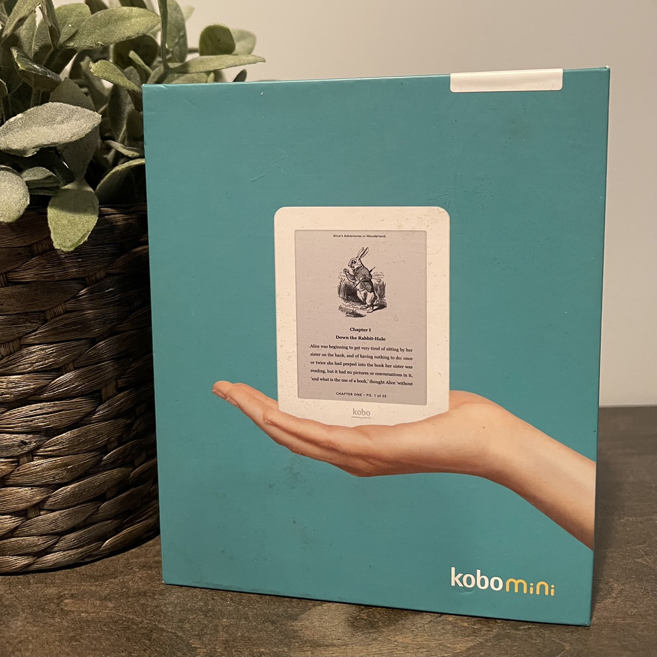 NEW KoboMini and Case