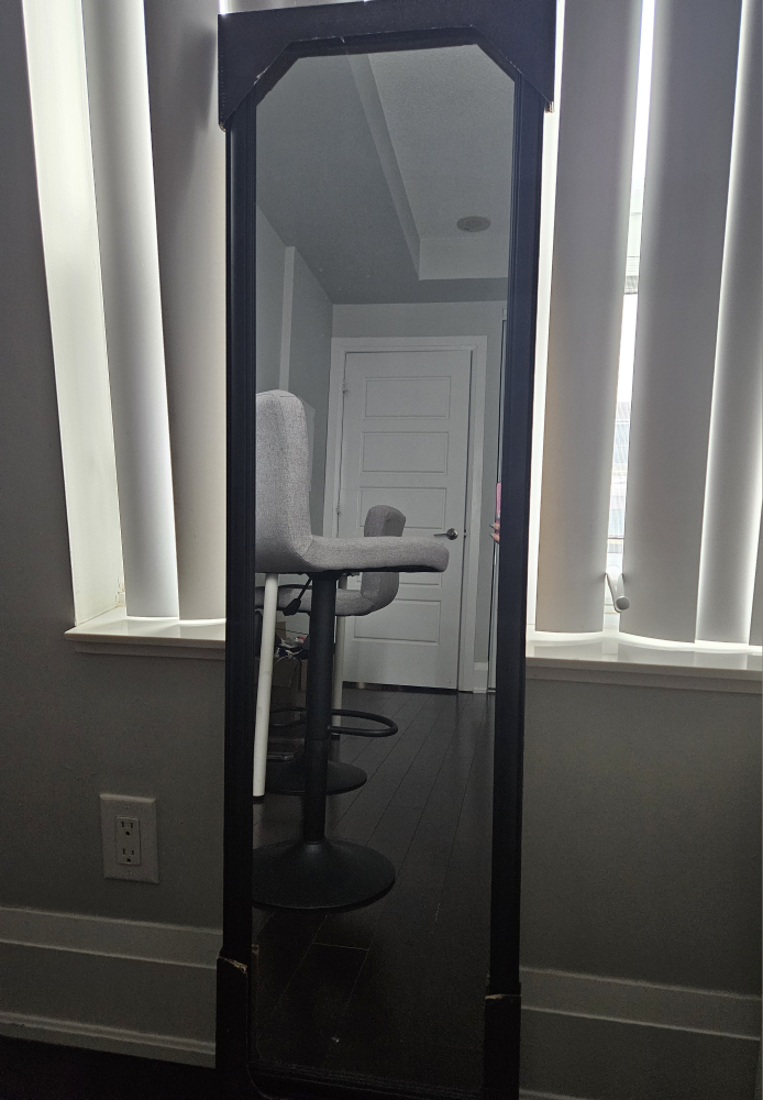 Mirror image indicator(2)