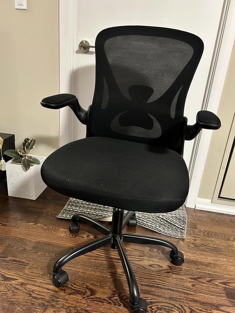 Ergonomic Office Chair