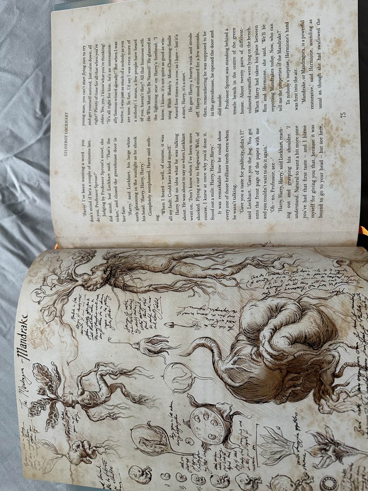 Harry Potter & The Chamber Of Secrets Illustrated Collector Ed. - photo 4