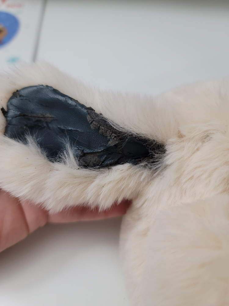 Free  fluffy bag accessory #freecycle - photo 2
