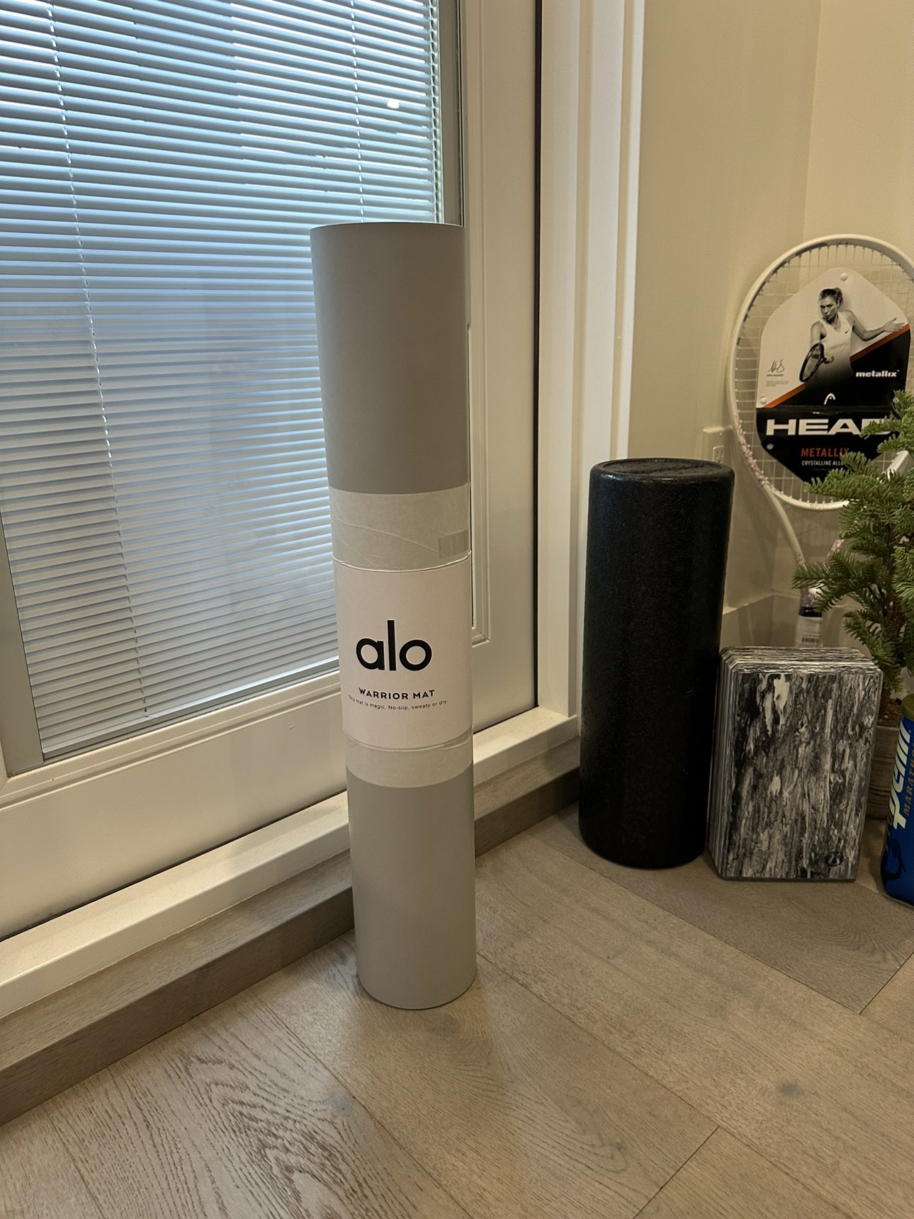 Alo yoga mat - New with shipping box image indicator(3)