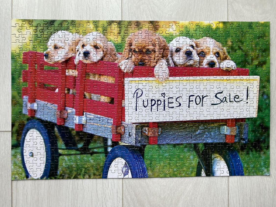 6 Puzzles for $10 - photo 5