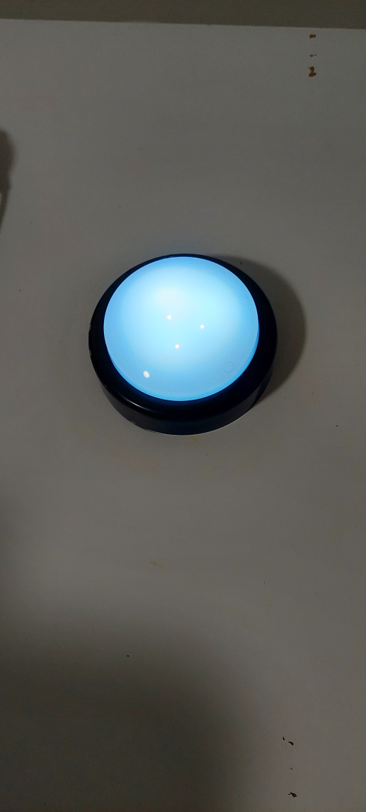 hand size light - photo 2