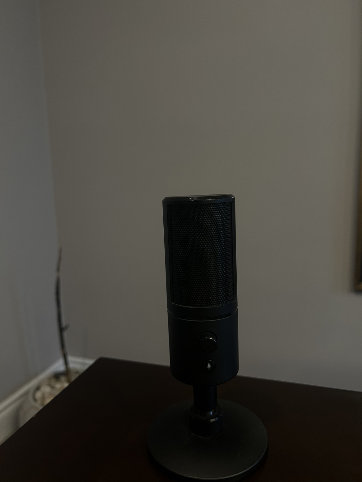 Razer Siren X Microphone - photo 2