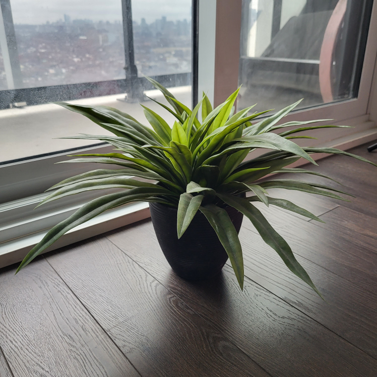Fake Decorative Plant - Medium Size