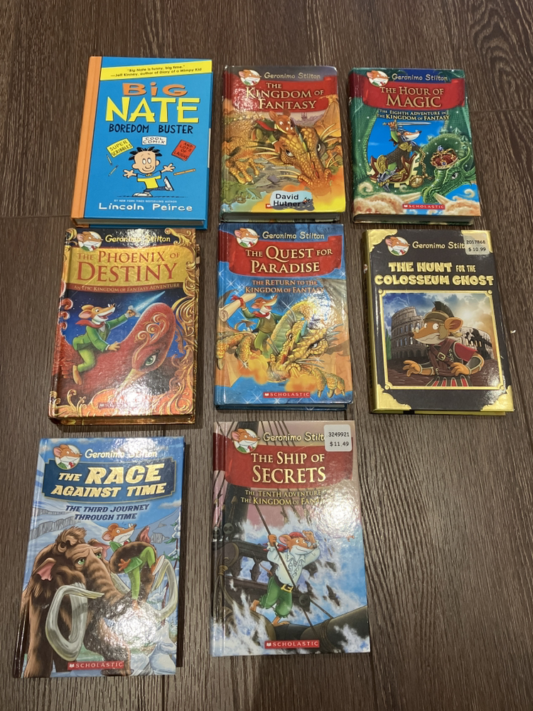 Geronimo Stilton books - Scholastic EUC