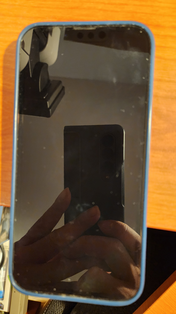 iPhone 13 Pro (256GB)