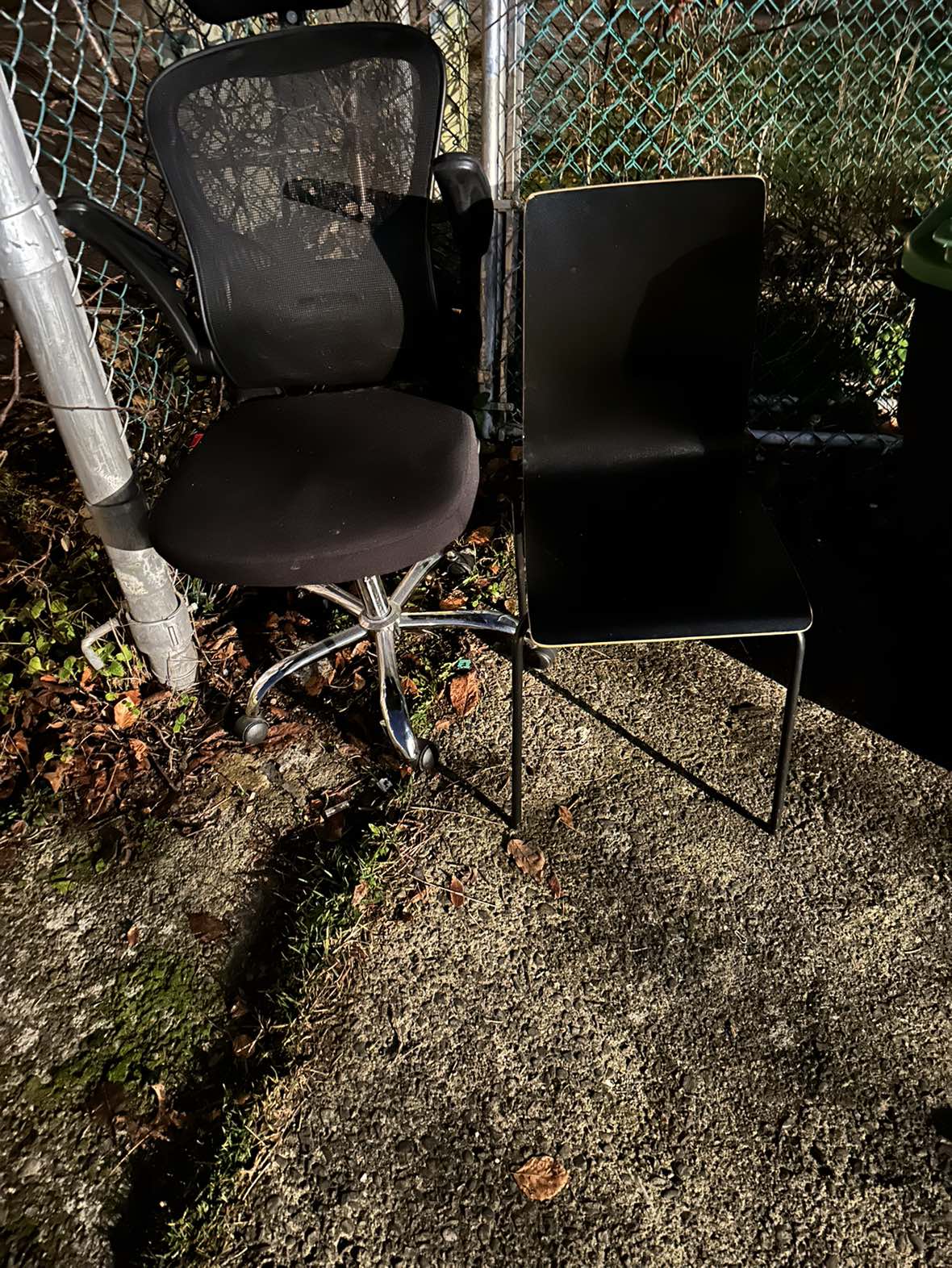 Free - photo 2