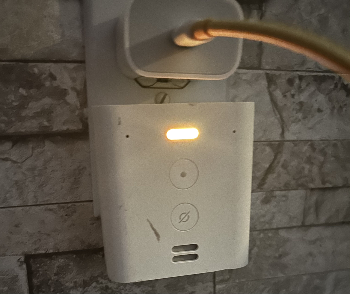 Echo Flex