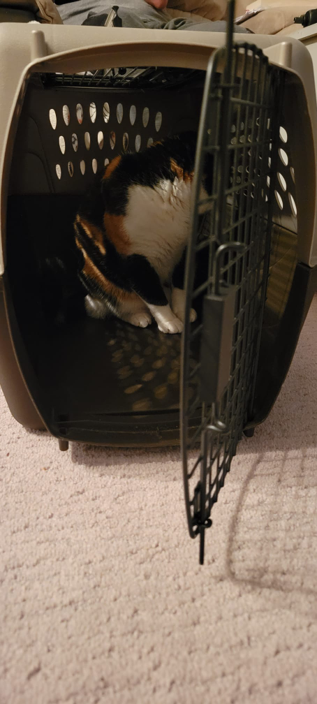 Pet Travel Carrier - photo 3