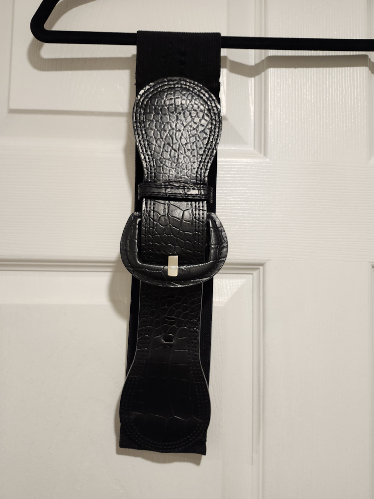 Waist Belt #freecycle thumbnail