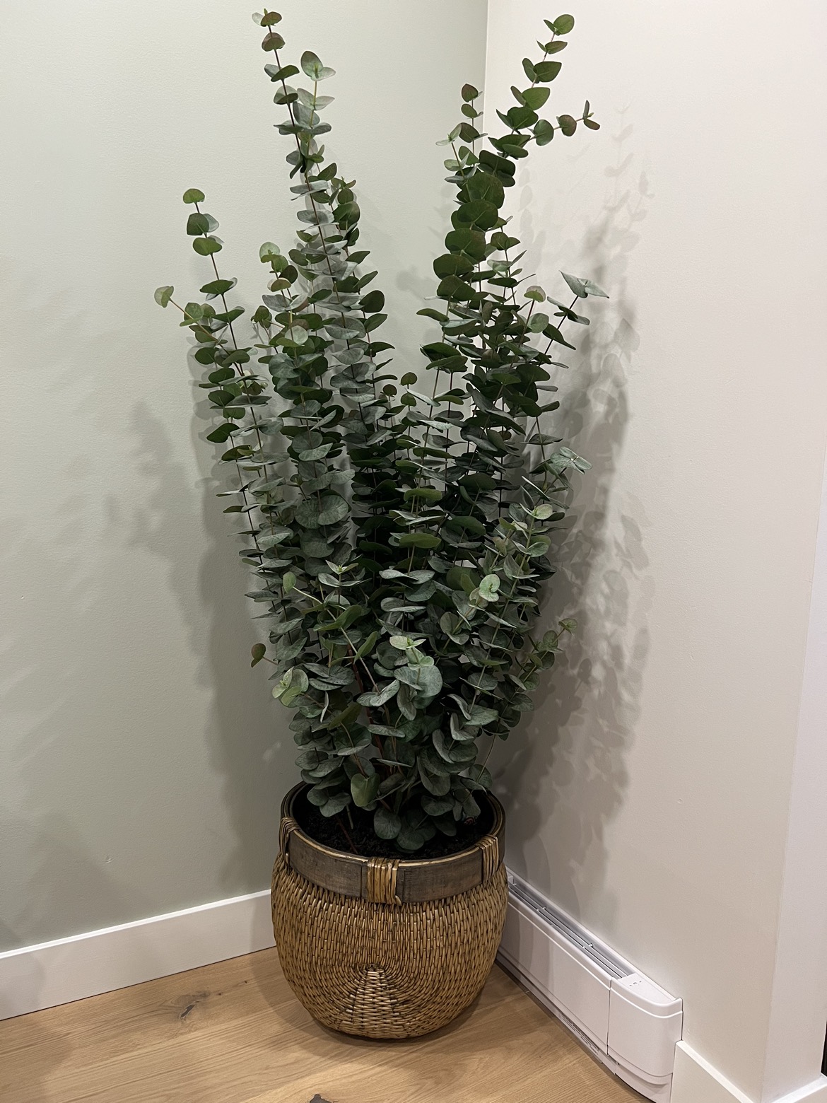 Artificial plant thumbnail