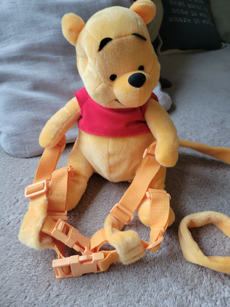 Winnie the Pooh toddler lead image indicator(3)