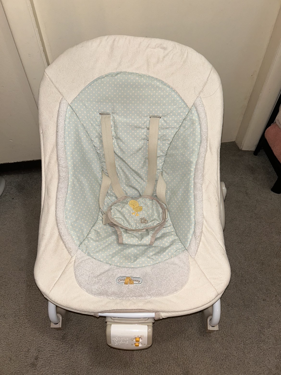 Baby Bouncer