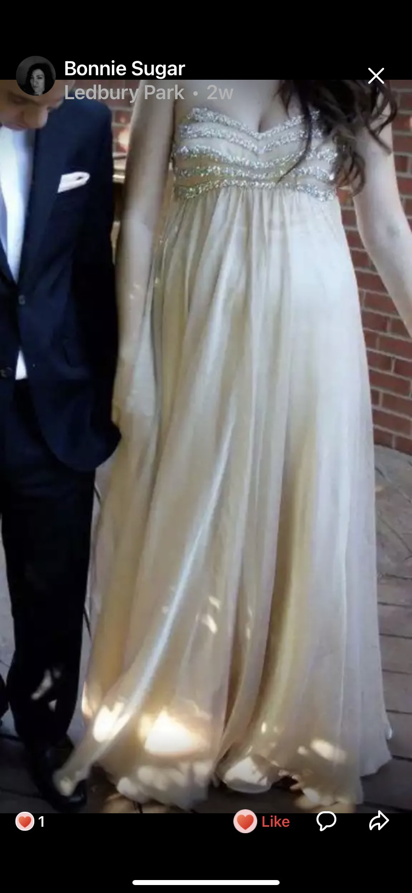A beautiful Dressy Gown for any special occasion!
