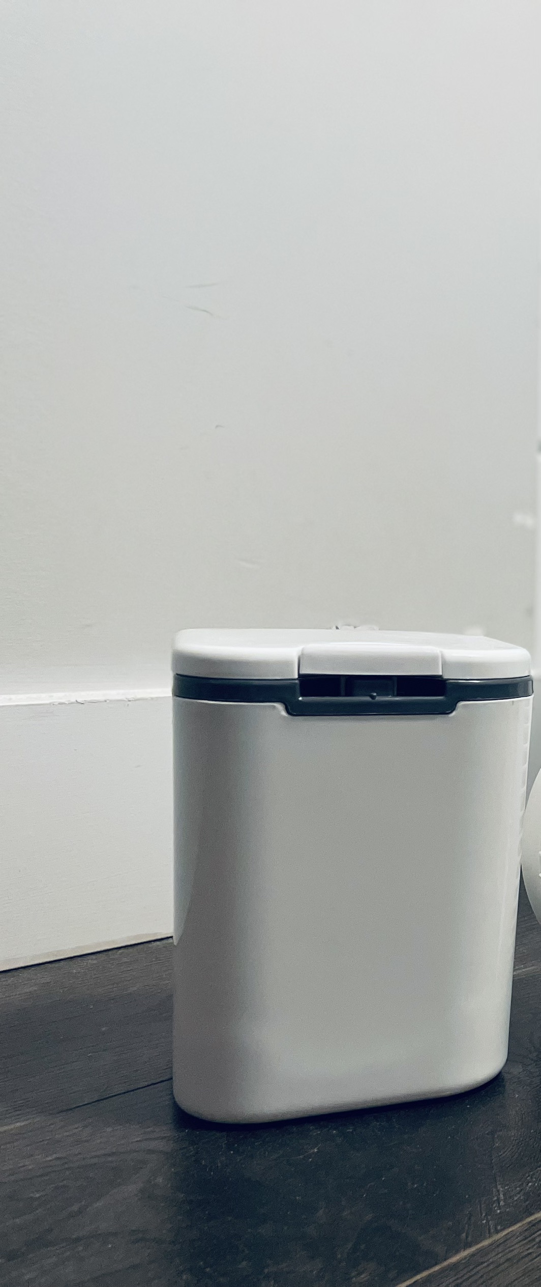 Mini food waste bin thumbnail
