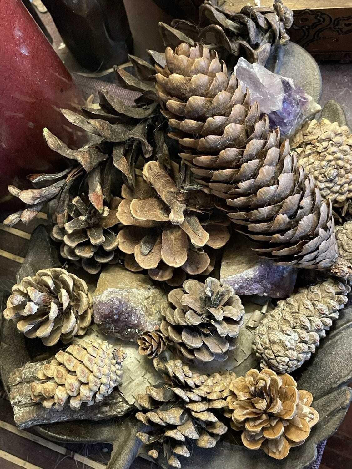 Pinecones / fall foliage image indicator(2)