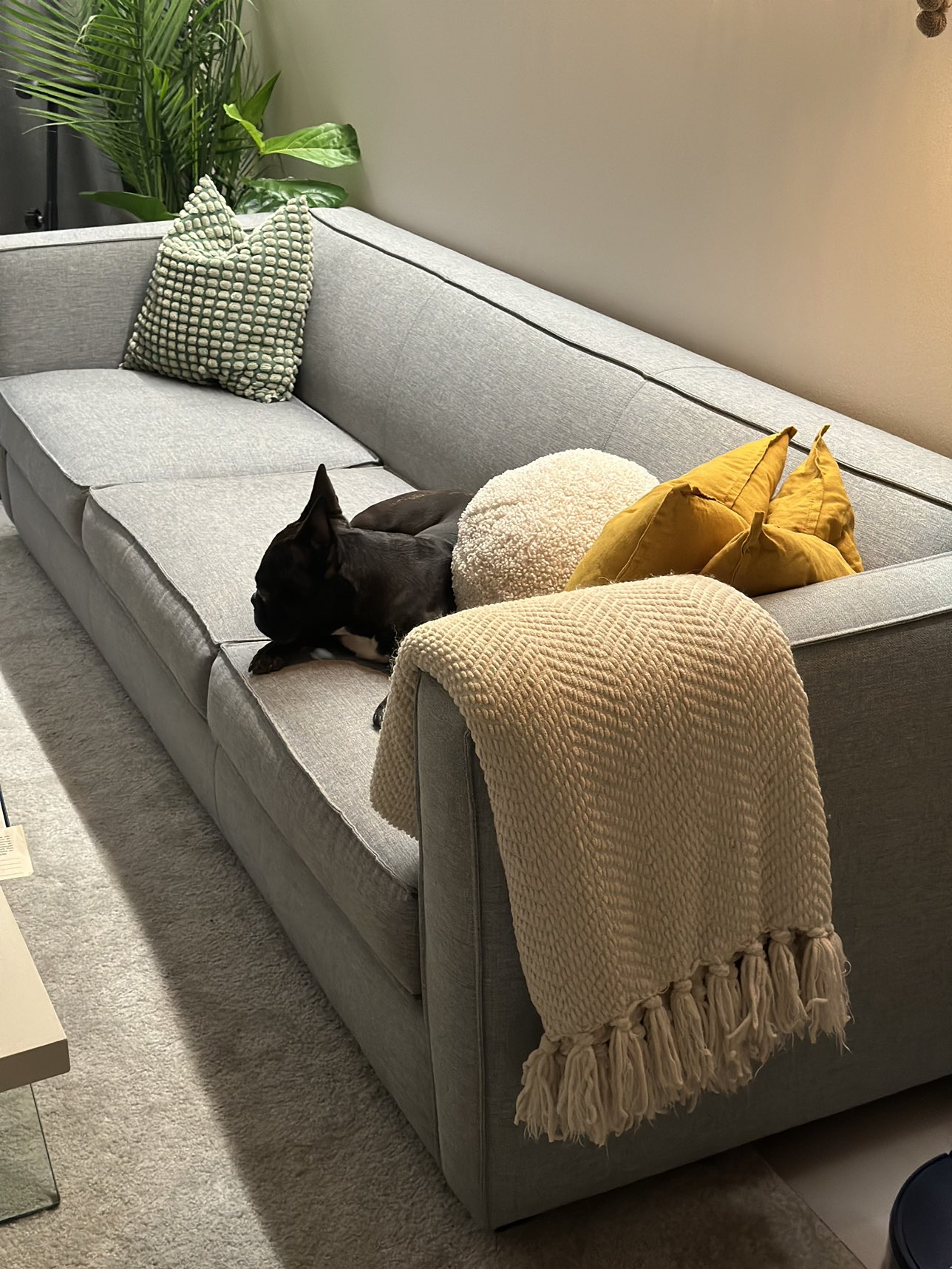 CB2 CLUB GREY FABRIC 3-SEATER SOFA image indicator(5)