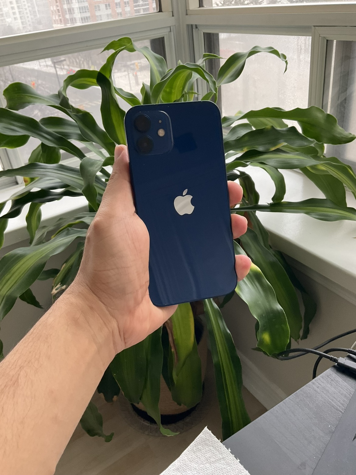 iPhone 12, 128 GB