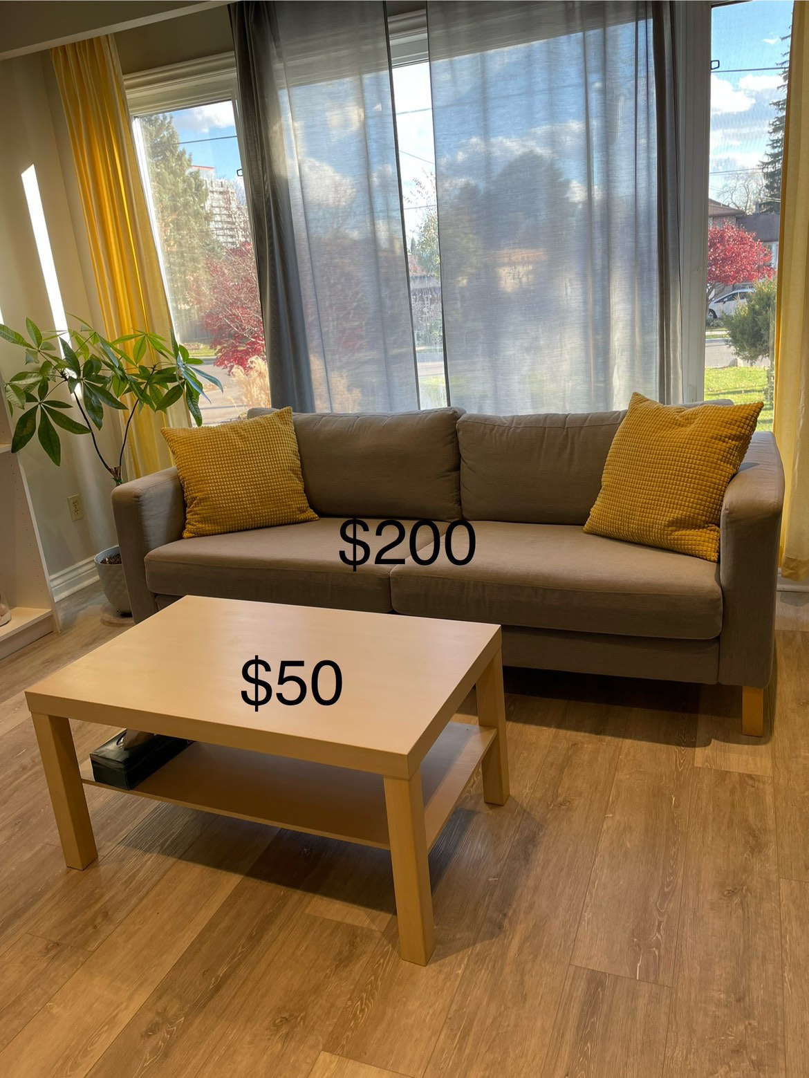 Sofa & coffee table