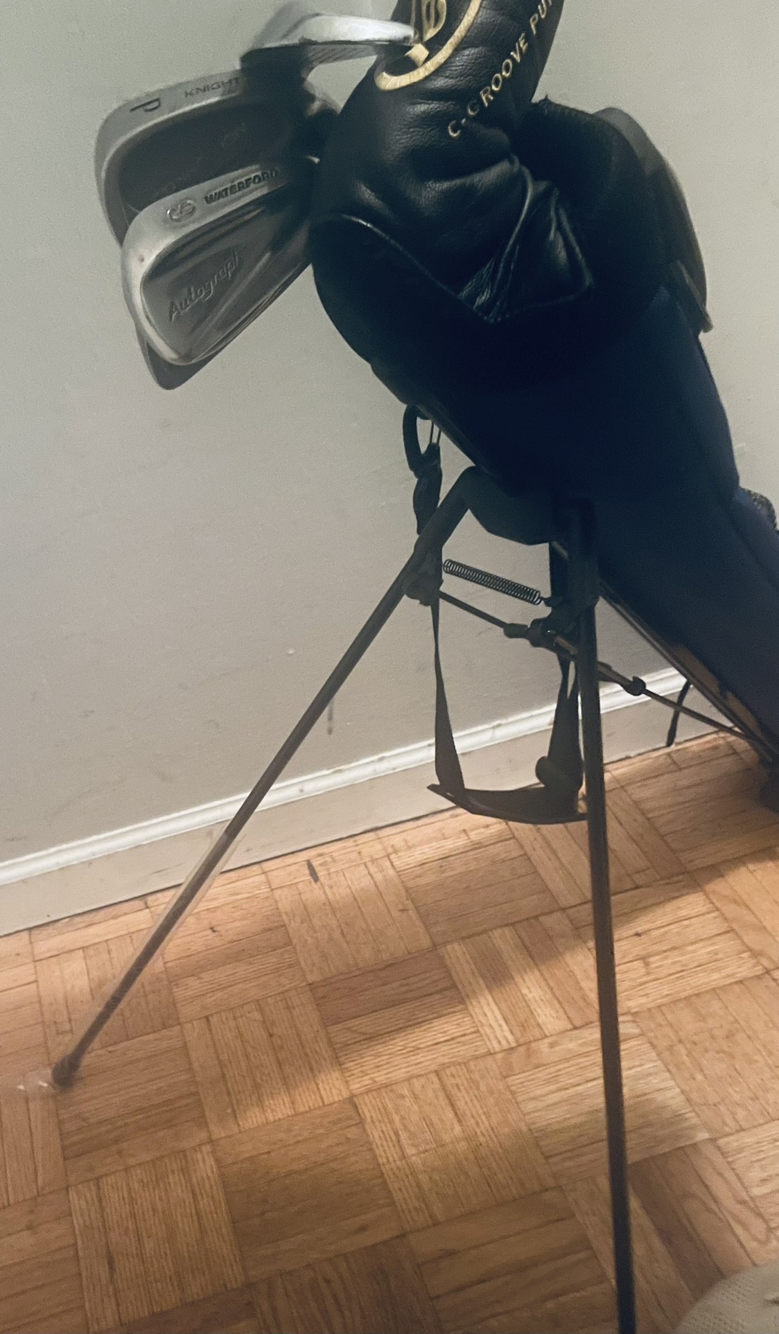 Golf Caddie bag w stand n shoulder strap image indicator(2)