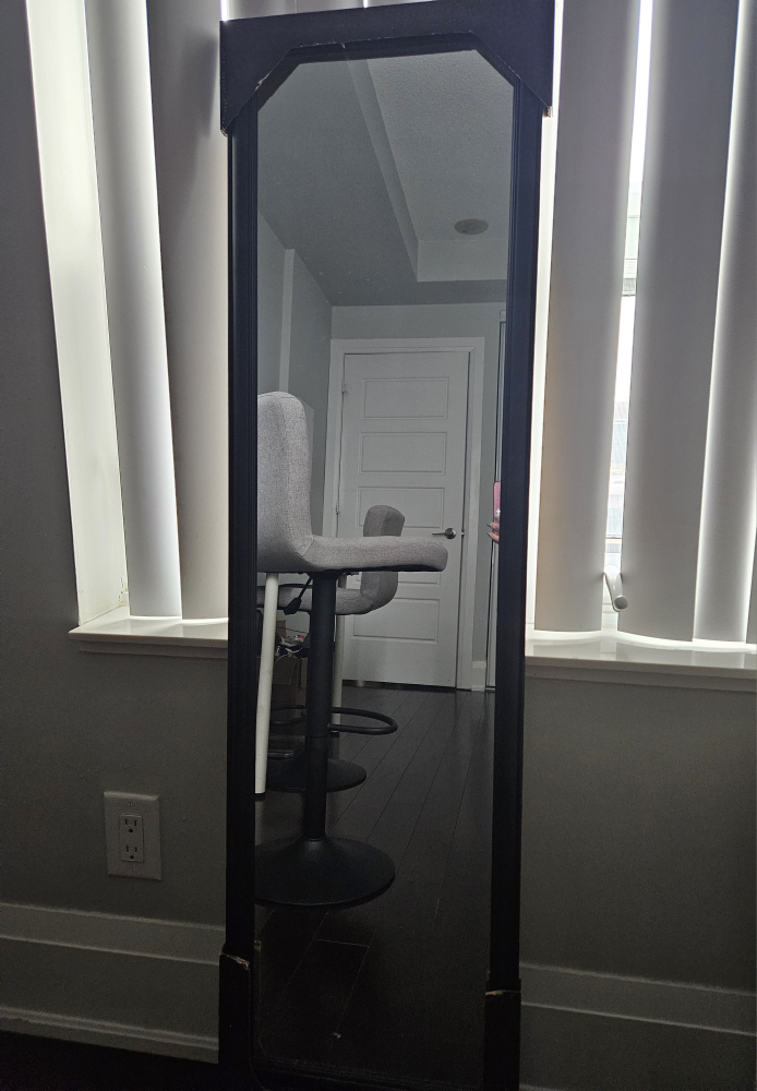 Mirror image indicator(3)