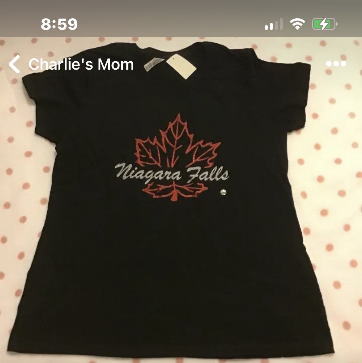 ✨��✨Sparkly Niagara Falls Tee XL image indicator(3)