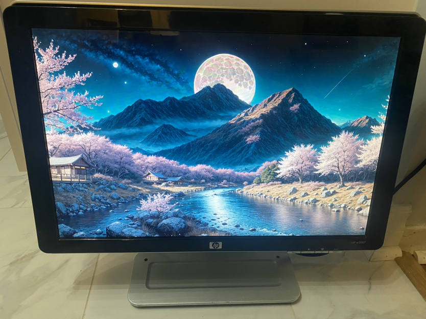 20 inch HP w2007 1680x1050 monitor - photo 3