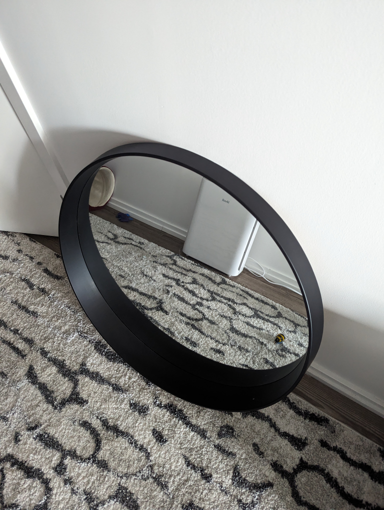 Round Mirror - 27in Black - photo 2