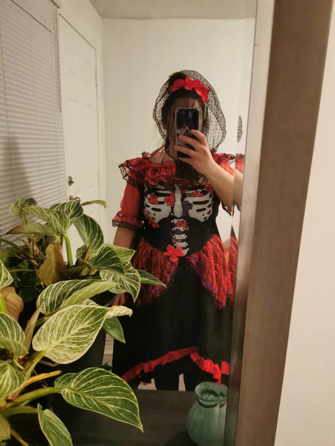 Day of The Dead Adult Woman Costume halloween image indicator(6)