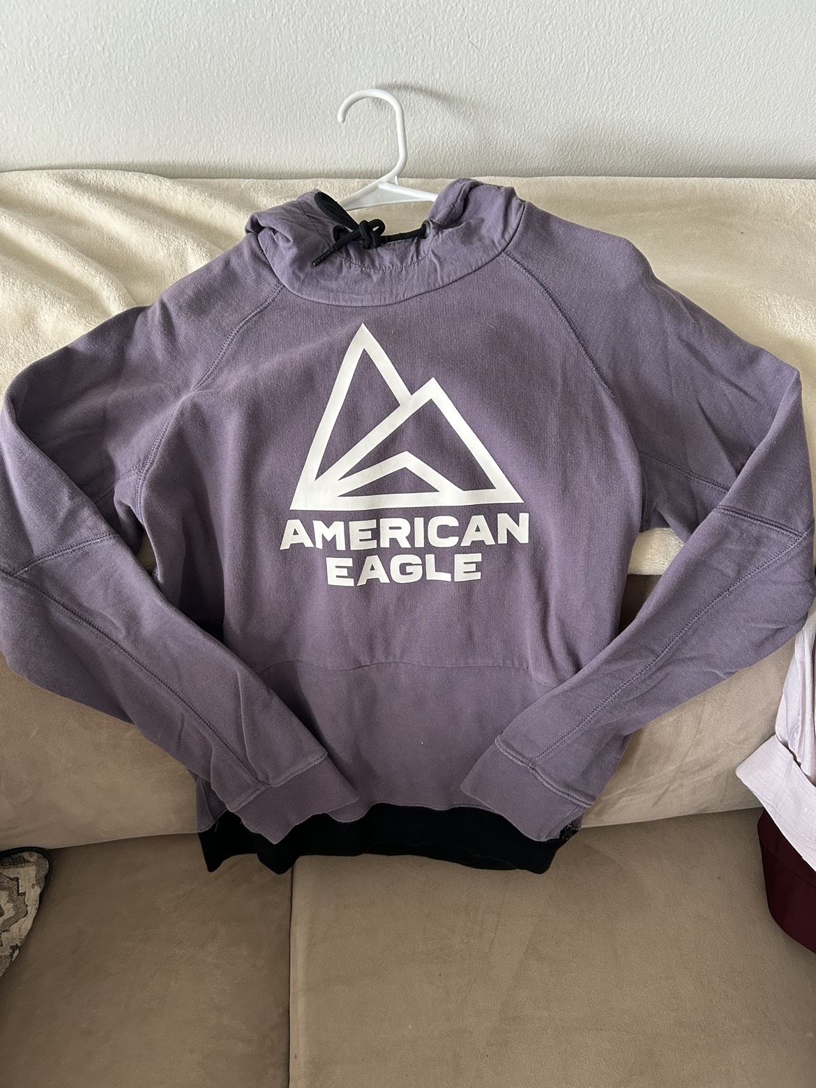 American Eagle Hoodie image indicator(2)