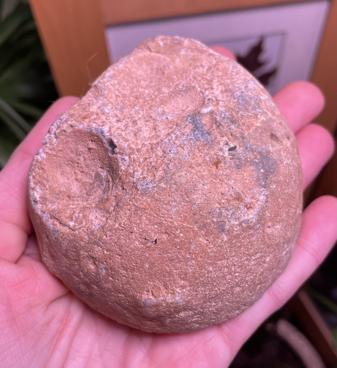 Agate geode slab image indicator(2)