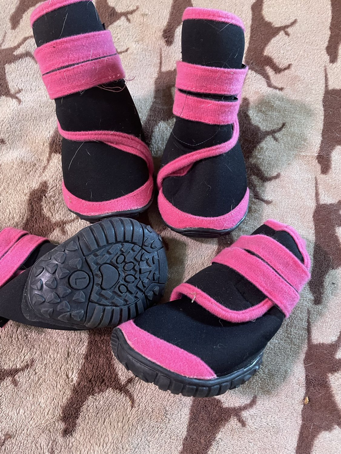 Dog booties image indicator(2)