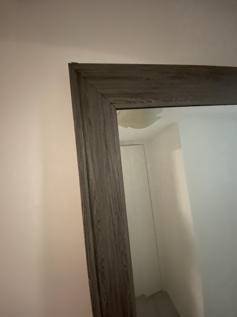 large full length mirror - photo 2