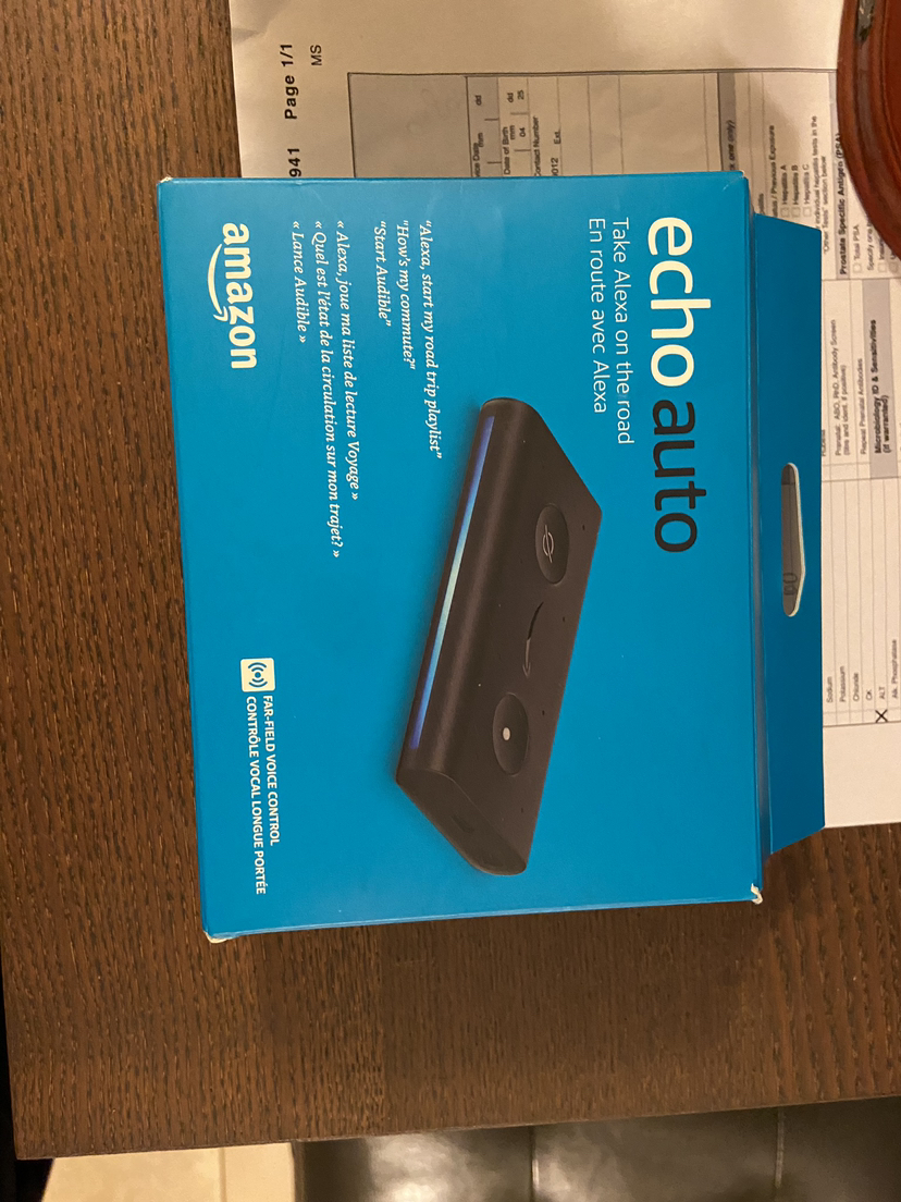 Echo Auto
